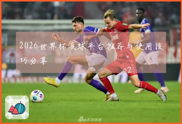 2026世界杯滚球平台推荐与使用技巧分享