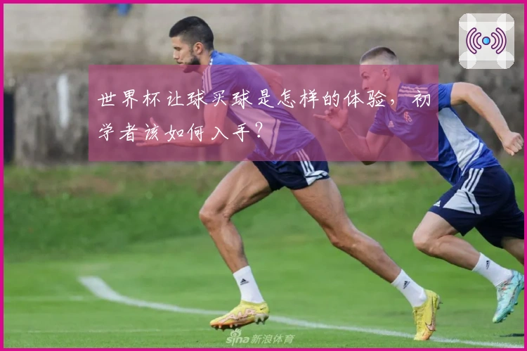 世界杯让球买球是怎样的体验，初学者该如何入手？