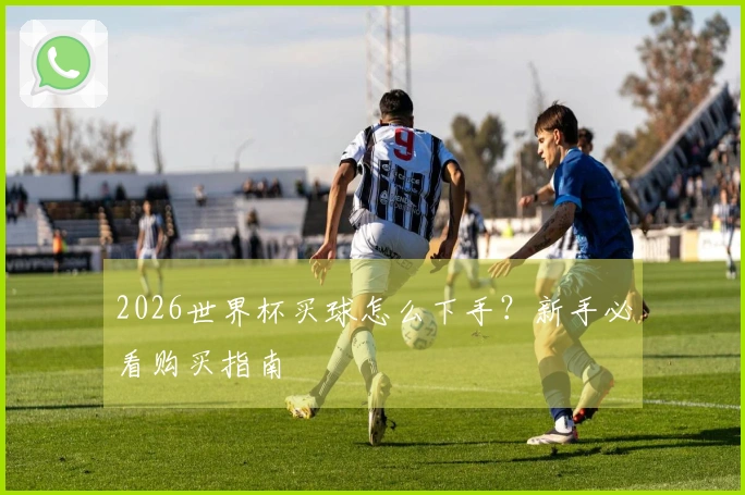 2026世界杯买球怎么下手？新手必看购买指南