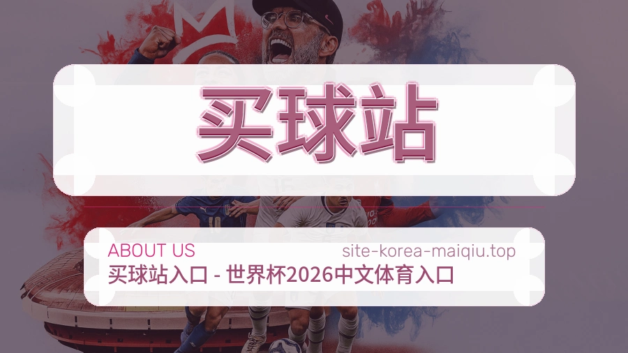 关于 买球站 团队与服务